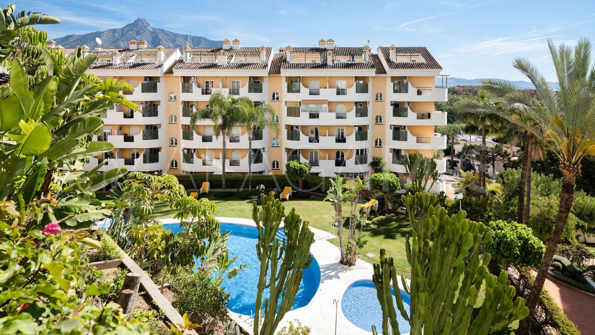 Atico duplex for sale in Señorio de Aloha