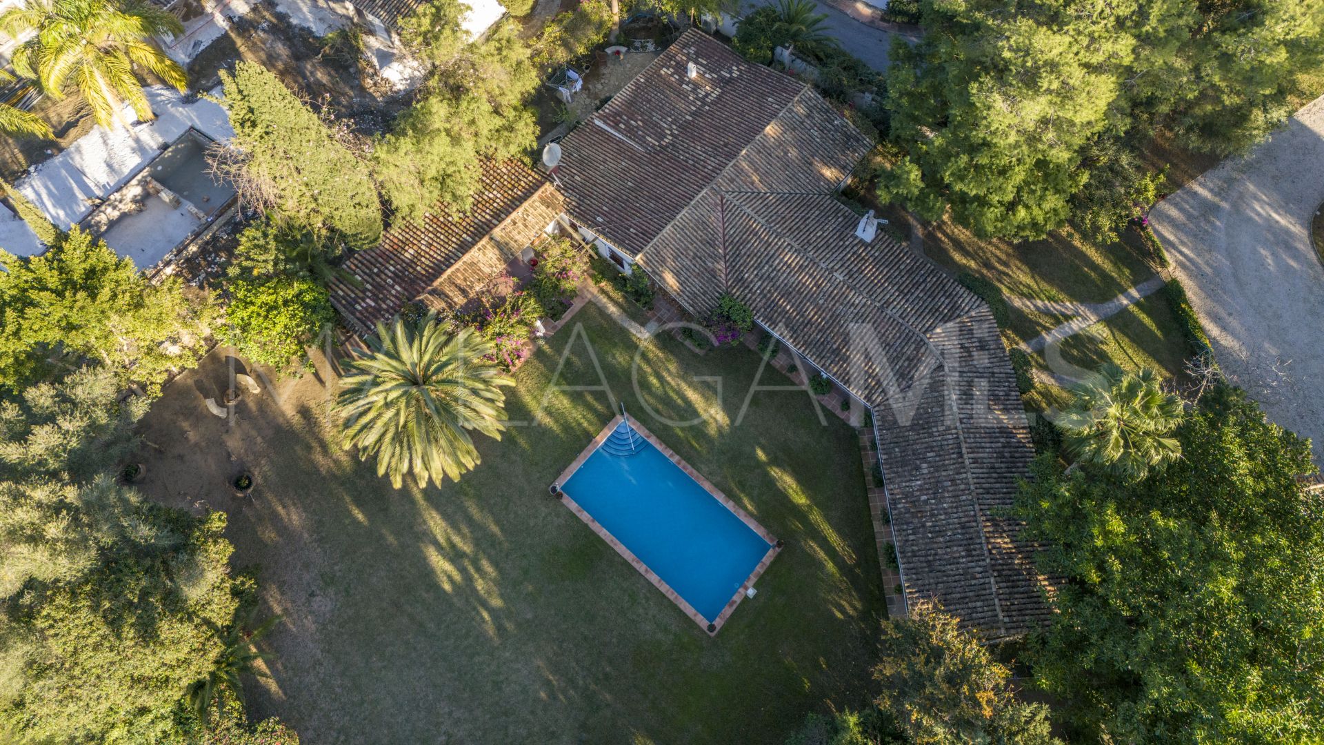 Buy villa in Los Naranjos