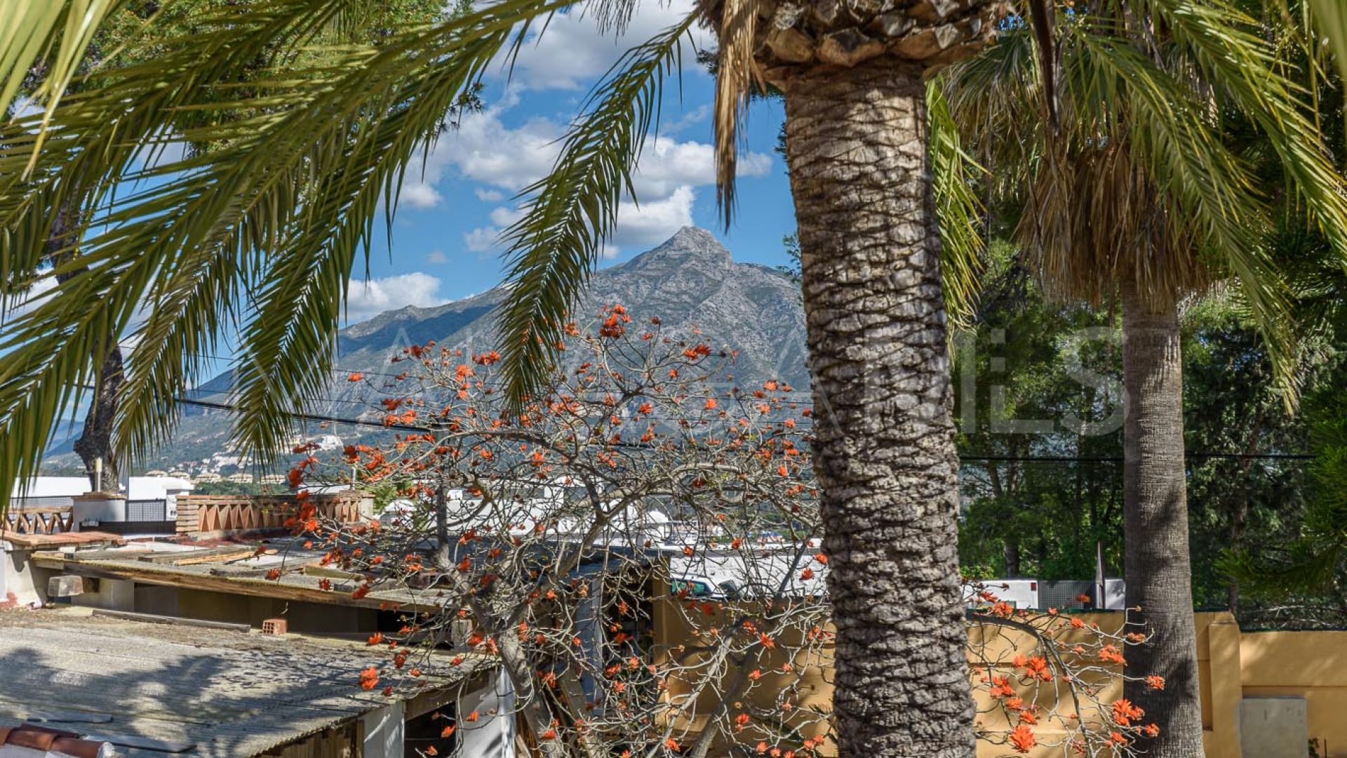 Villa for sale in Nueva Andalucia