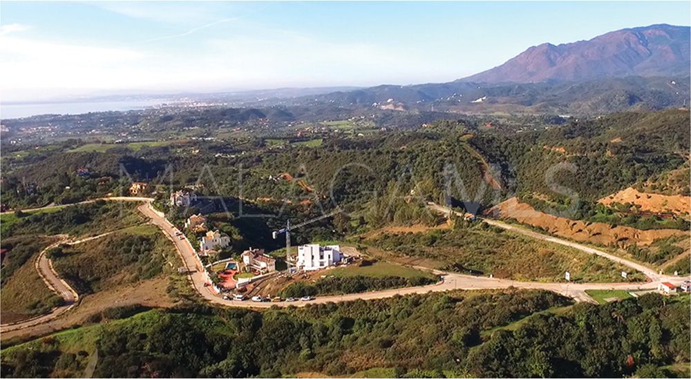 Buy parcela in New Golden Mile