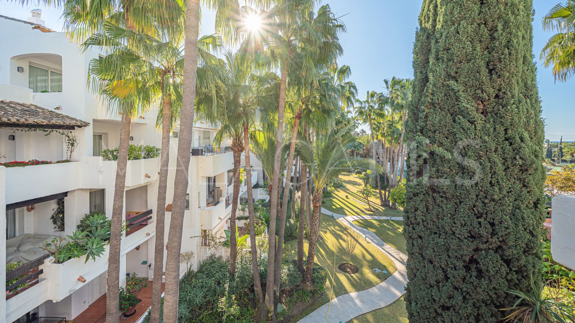 Buy duplex penthouse in Marina Puente Romano