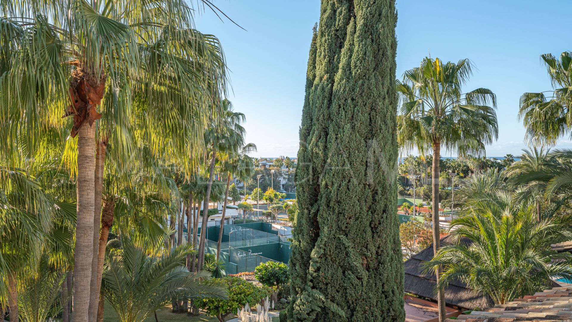 Buy duplex penthouse in Marina Puente Romano