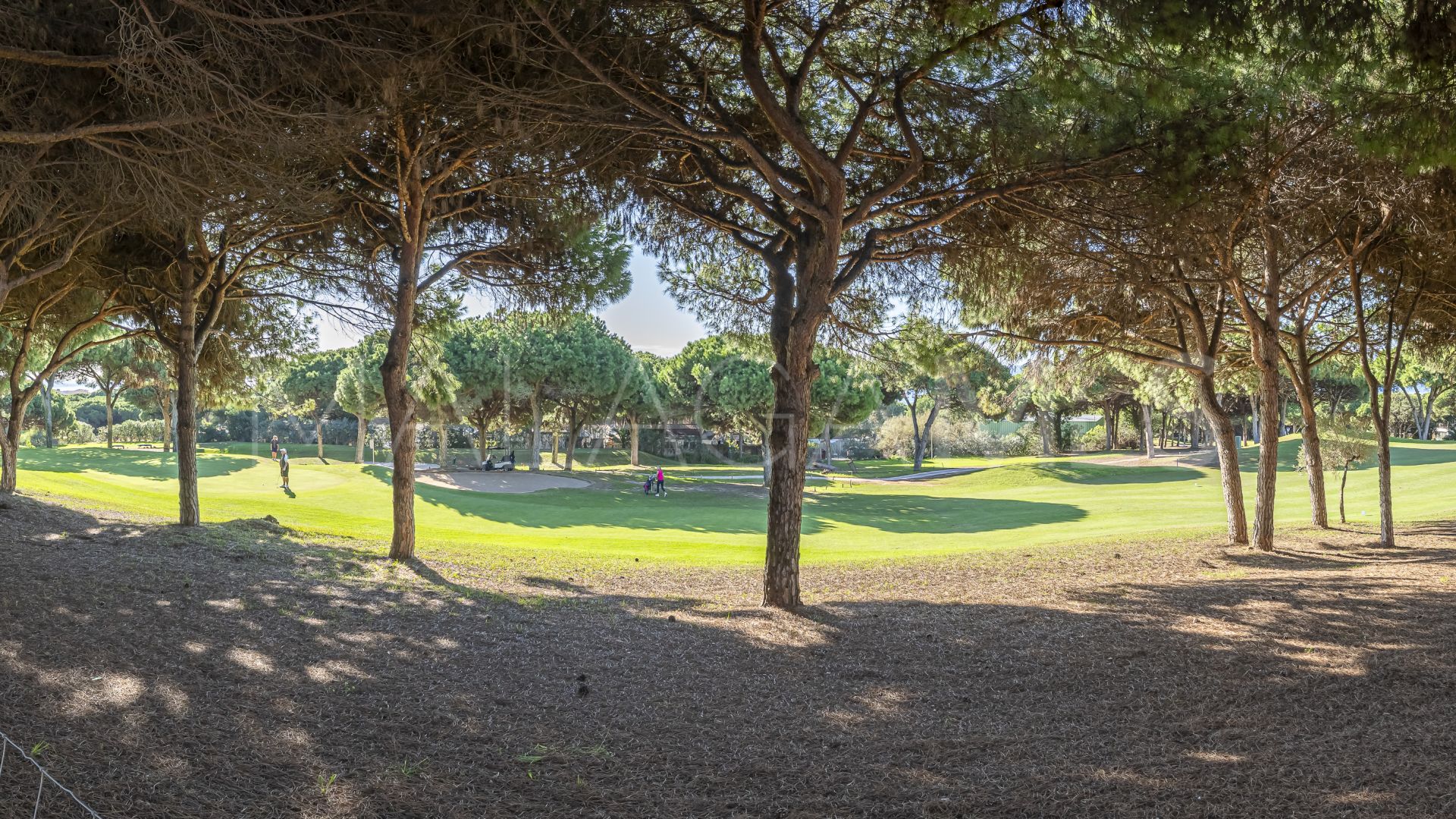 Maison de ville for sale in Cabopino