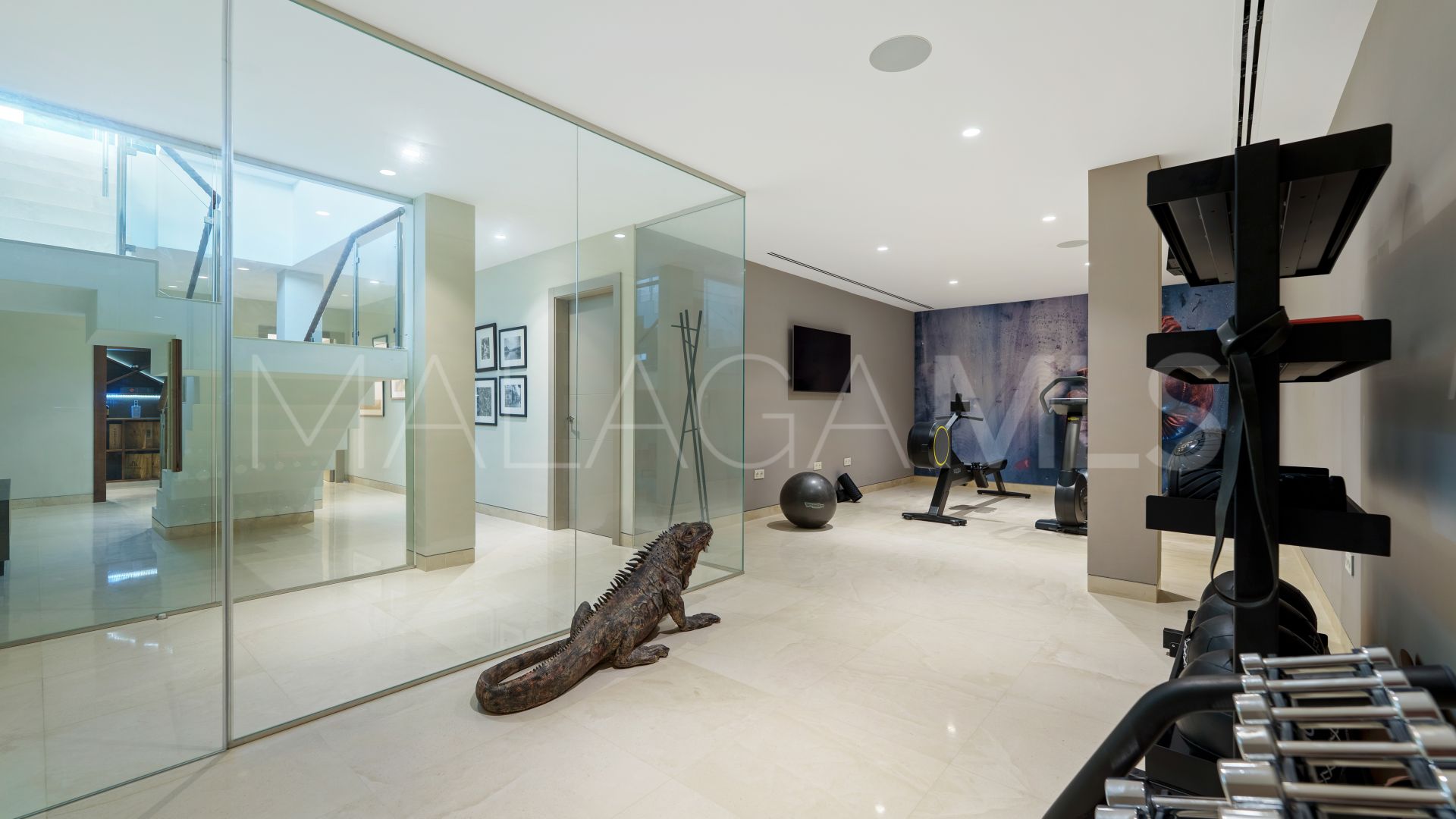 Villa for sale in Nueva Andalucia