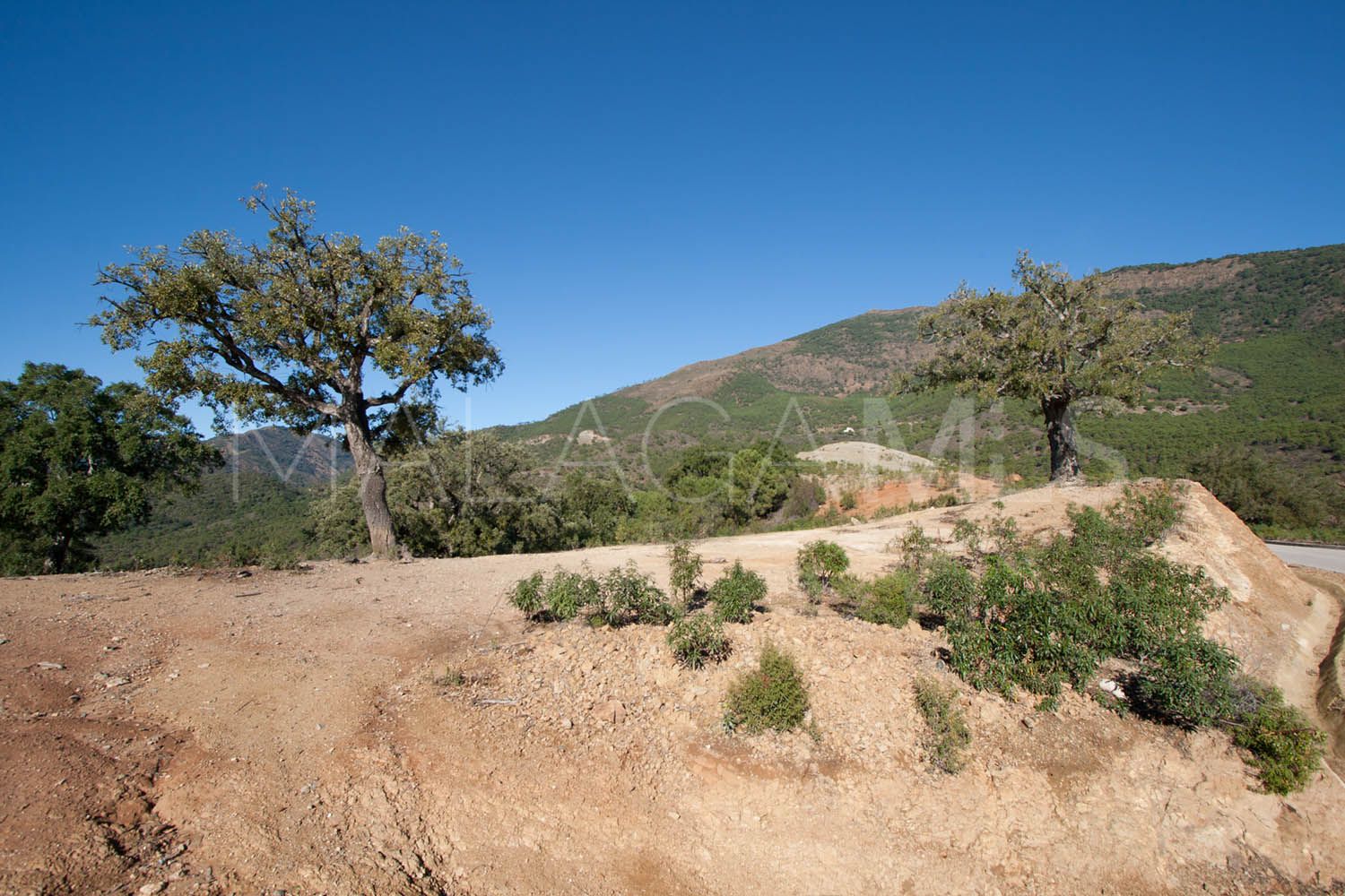 Tomt for sale in La Zagaleta