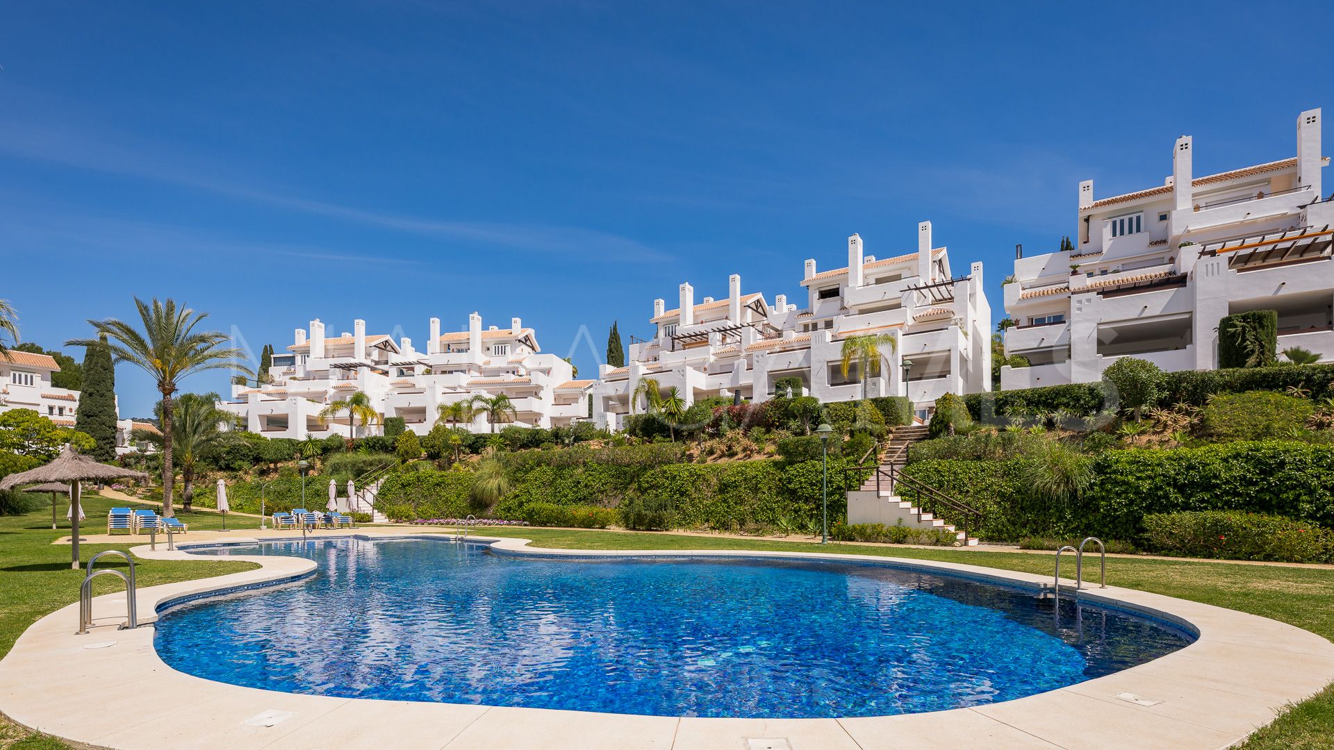 For sale apartment in Los Monteros Palm Beach