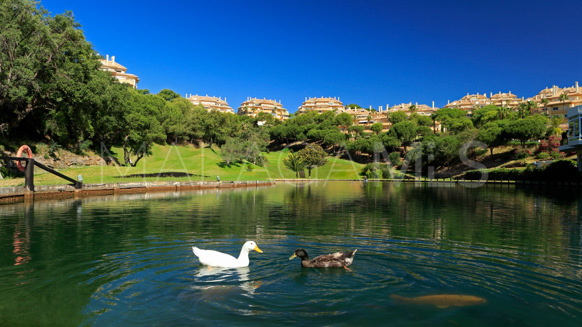 Ground floor apartment for sale in Elviria Hills with 3 bedrooms
