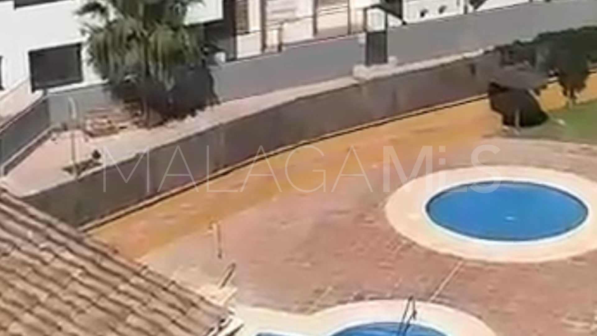 Appartement terrasse for sale in Manilva Pueblo