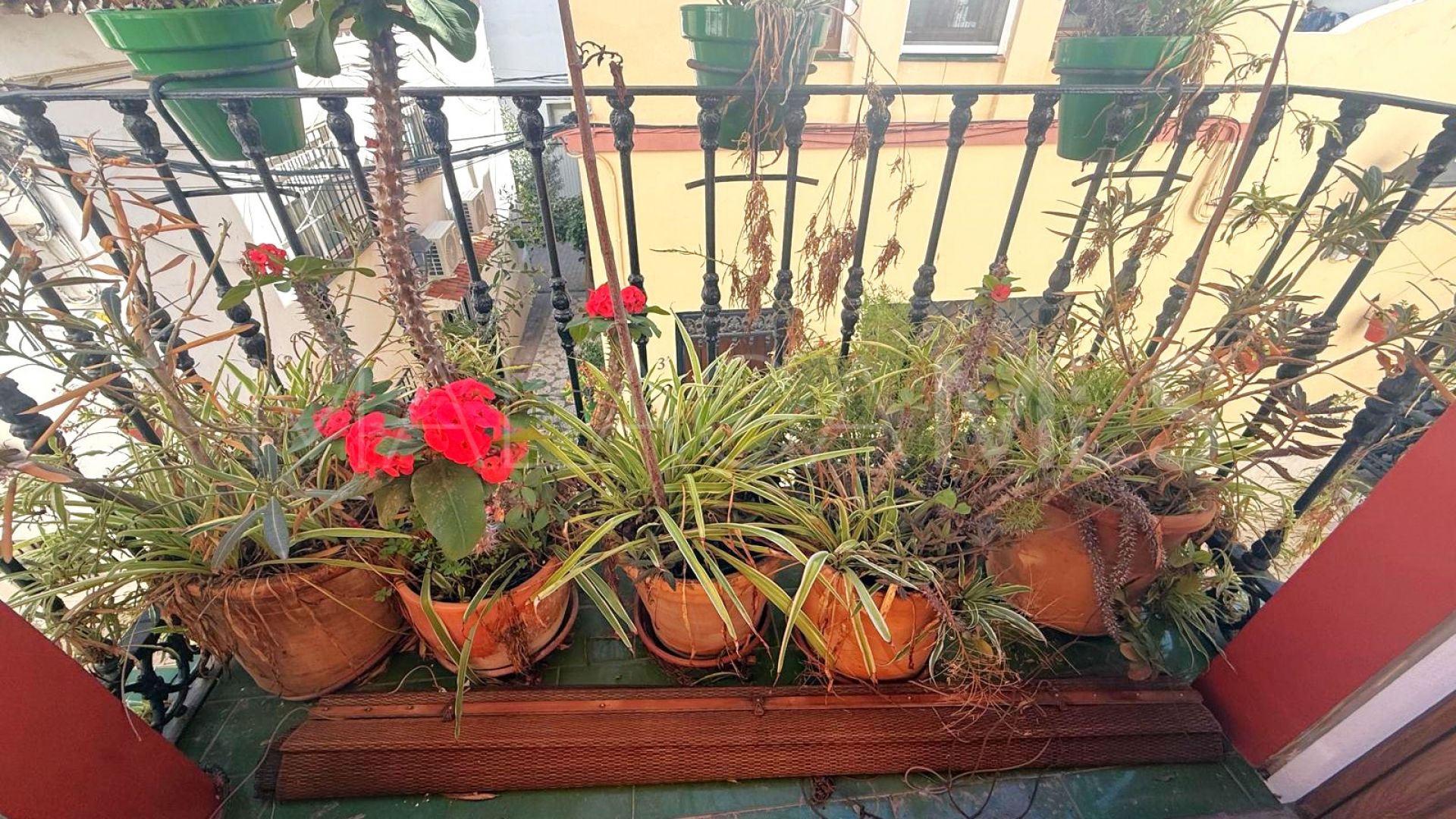 For sale building in Estepona Town