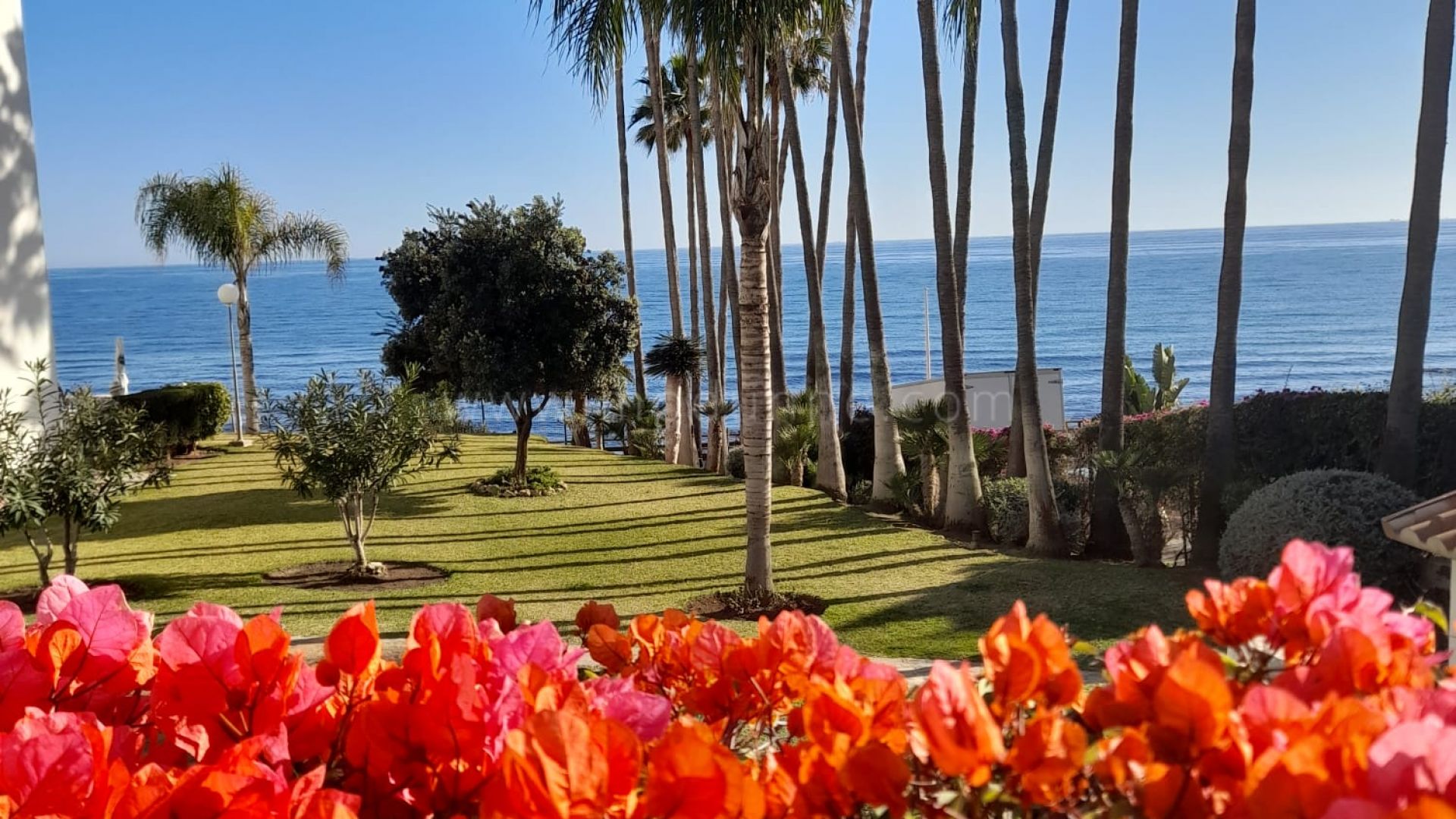 Studio En Bord De Mer Avec Vue sur La Mer Calahonda, Opportunité d'Investissement