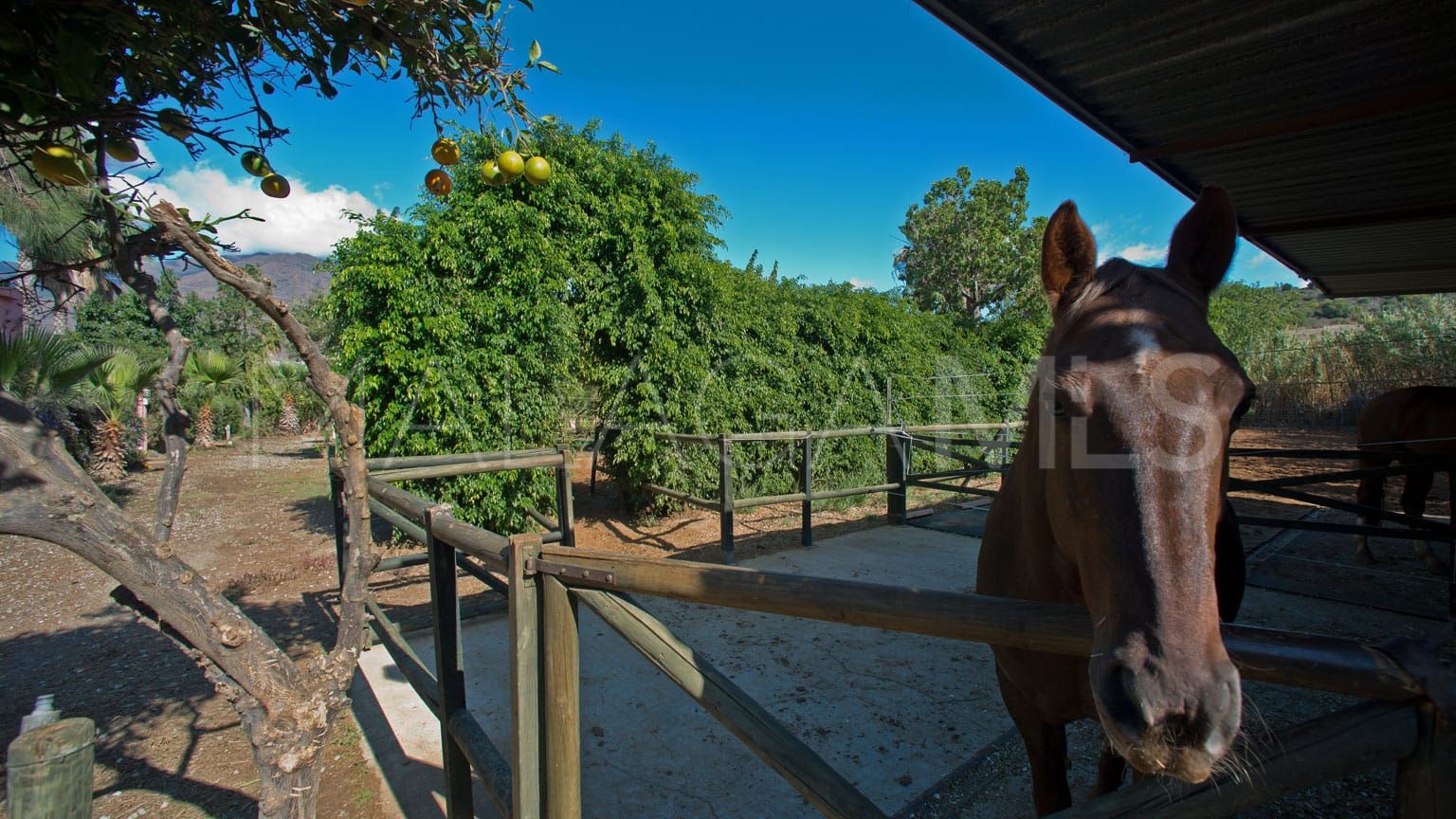 Maison for sale in Estepona