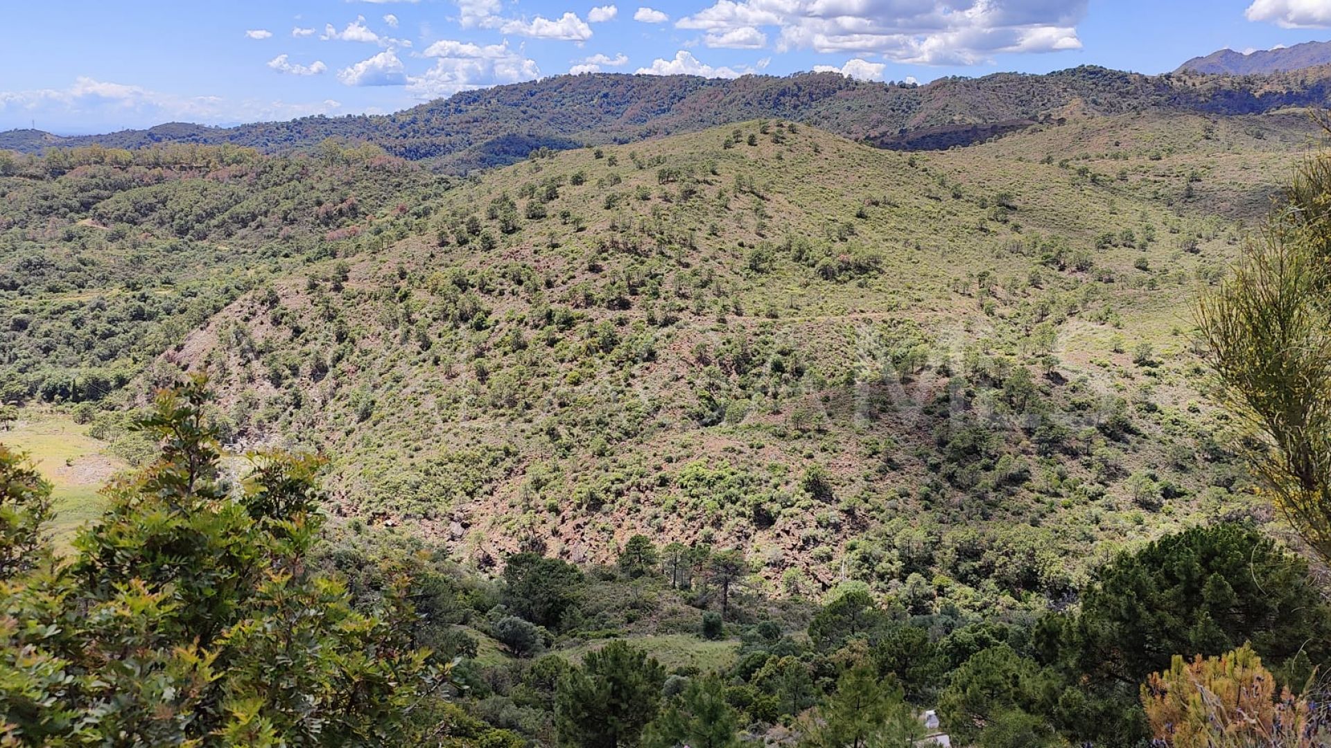 Tomt for sale in Monte Mayor