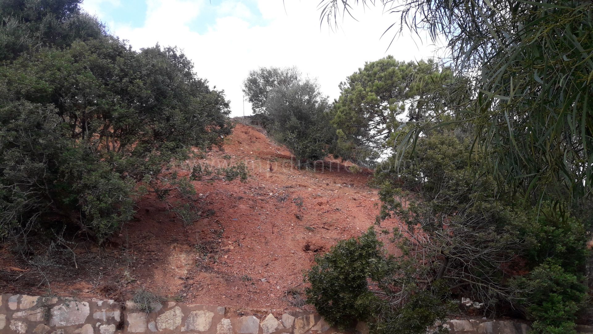 Terrain constructible polyvalent à Reserva de Marbella