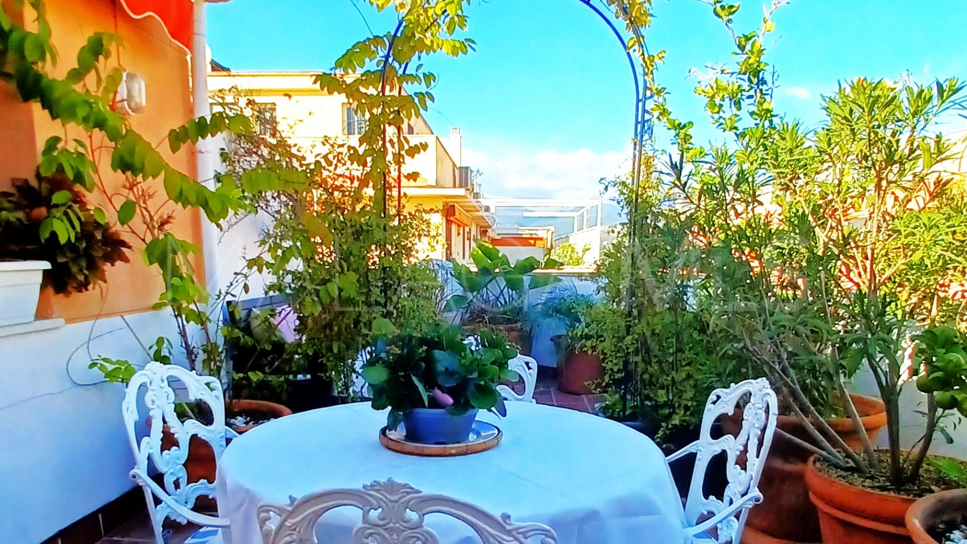 For sale penthouse with 3 bedrooms in S. Pedro Centro