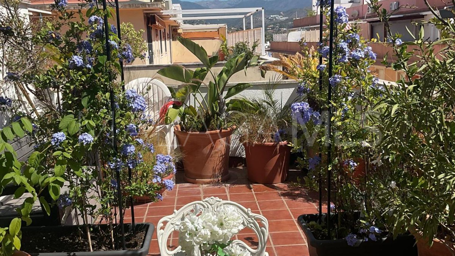 Appartement terrasse for sale in San Pedro de Alcantara