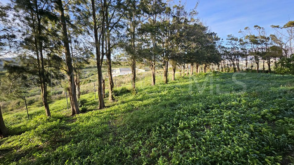 Villa for sale in Manilva