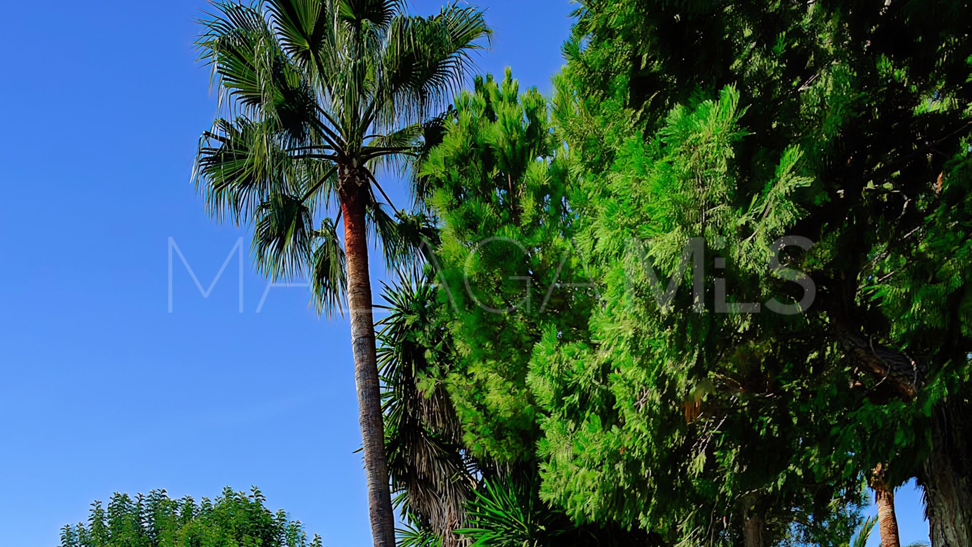 Villa for sale in Rio Real