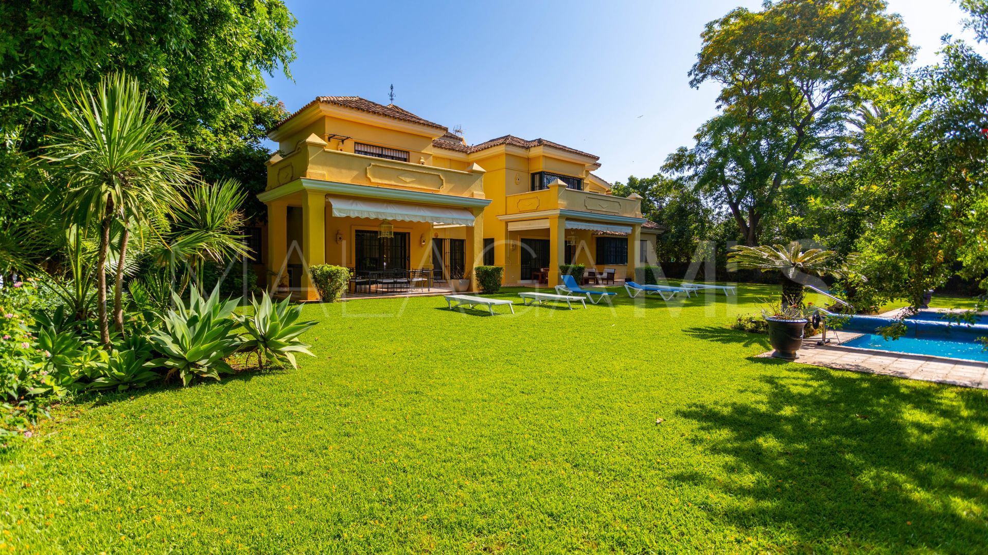 Villa for sale in Guadalmina Baja