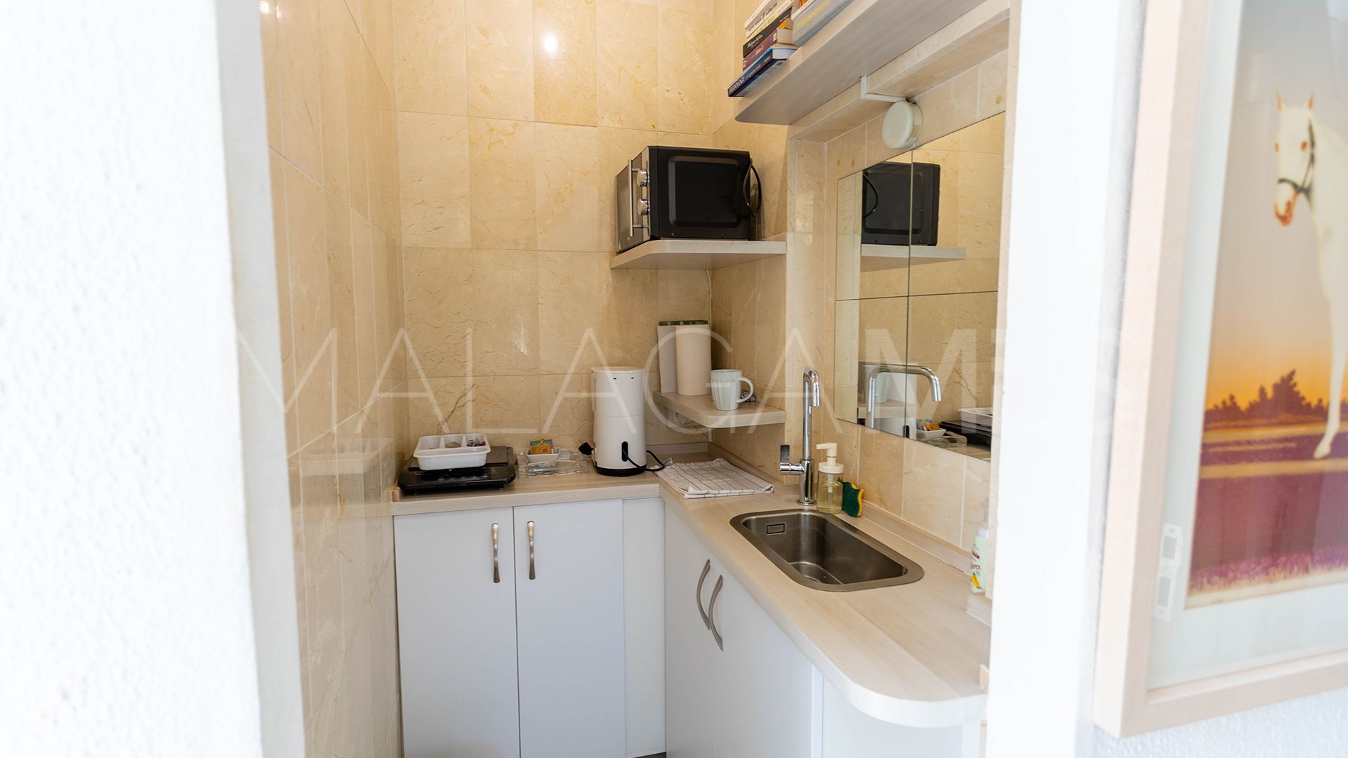Villa for sale in Guadalmina Alta
