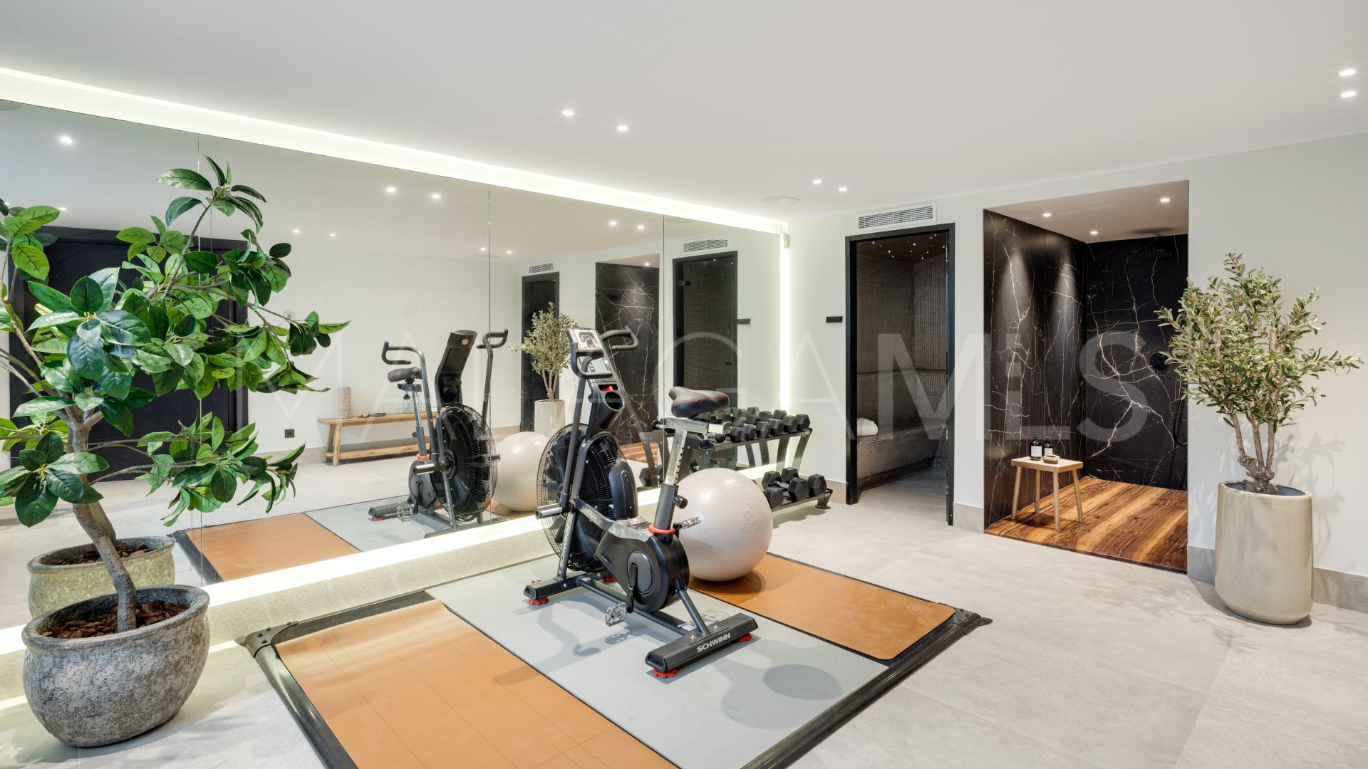 Buy Nueva Andalucia villa