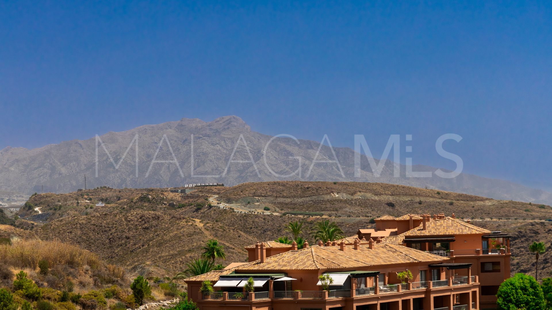 Appartement terrasse for sale in Los Flamingos