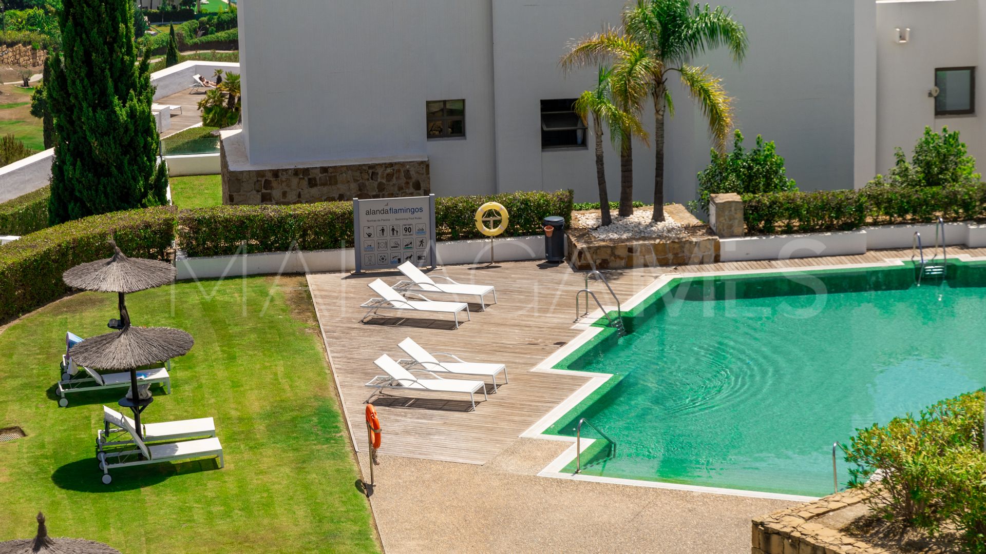 Appartement terrasse for sale in Los Flamingos