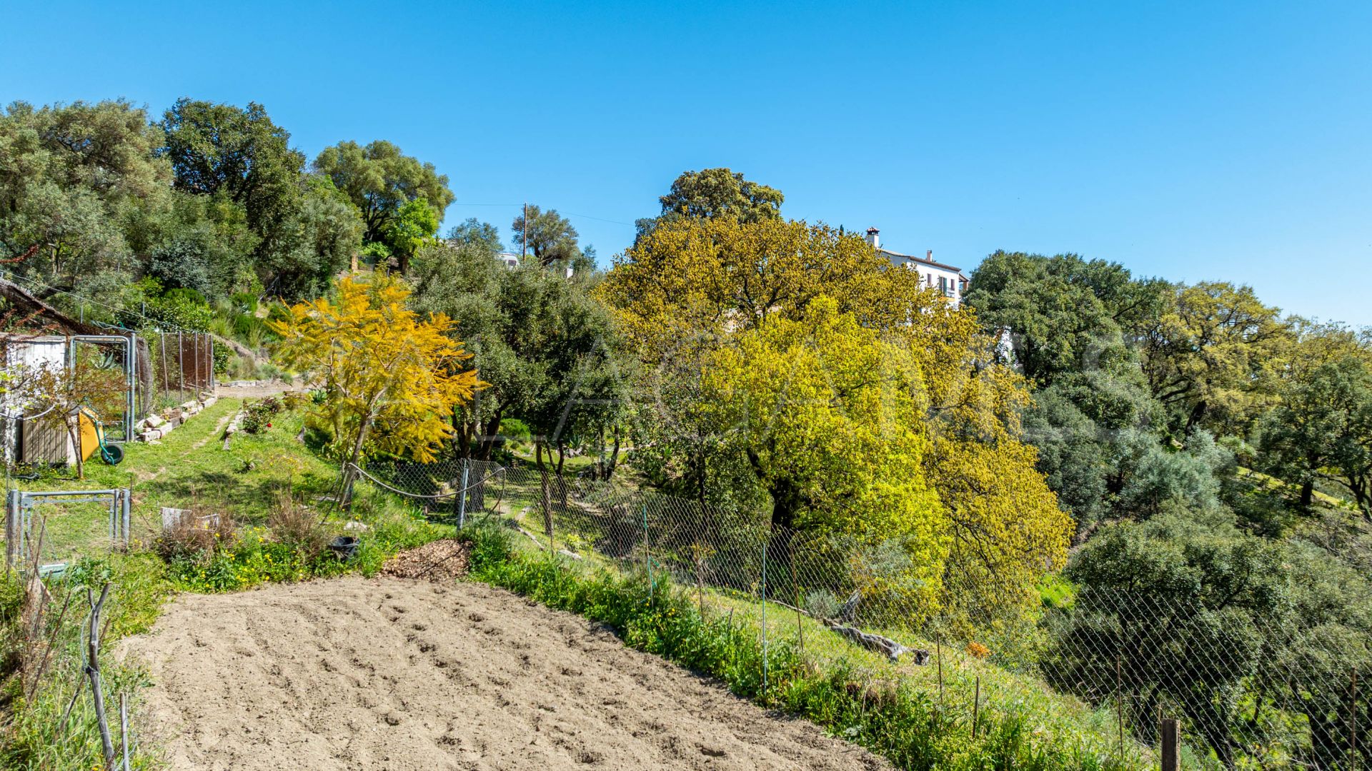 Landhaus for sale in Casares