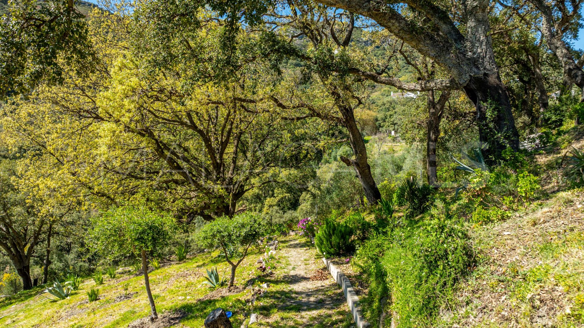 Landhaus for sale in Casares