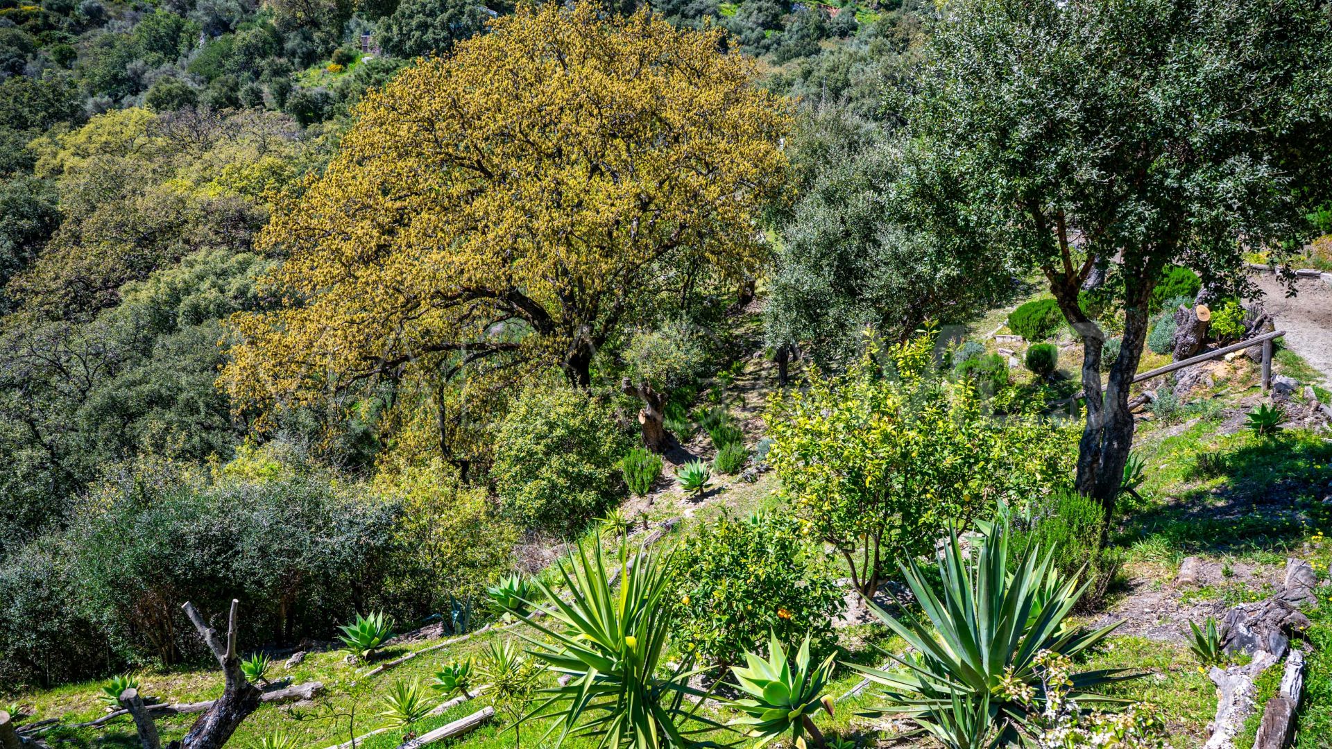 Landhaus for sale in Casares