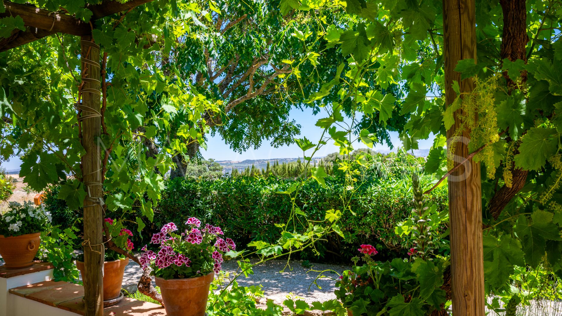 Ferme for sale in Ronda