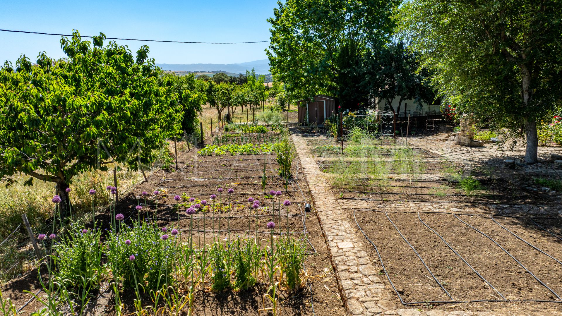 Ferme for sale in Ronda
