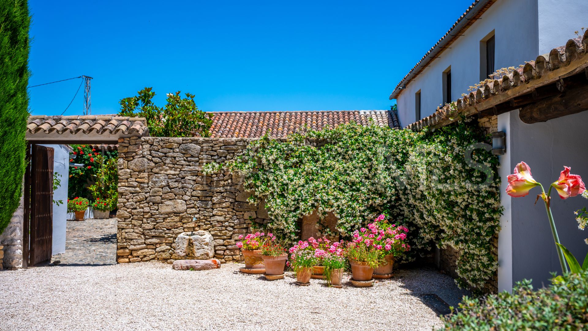 Ferme for sale in Ronda