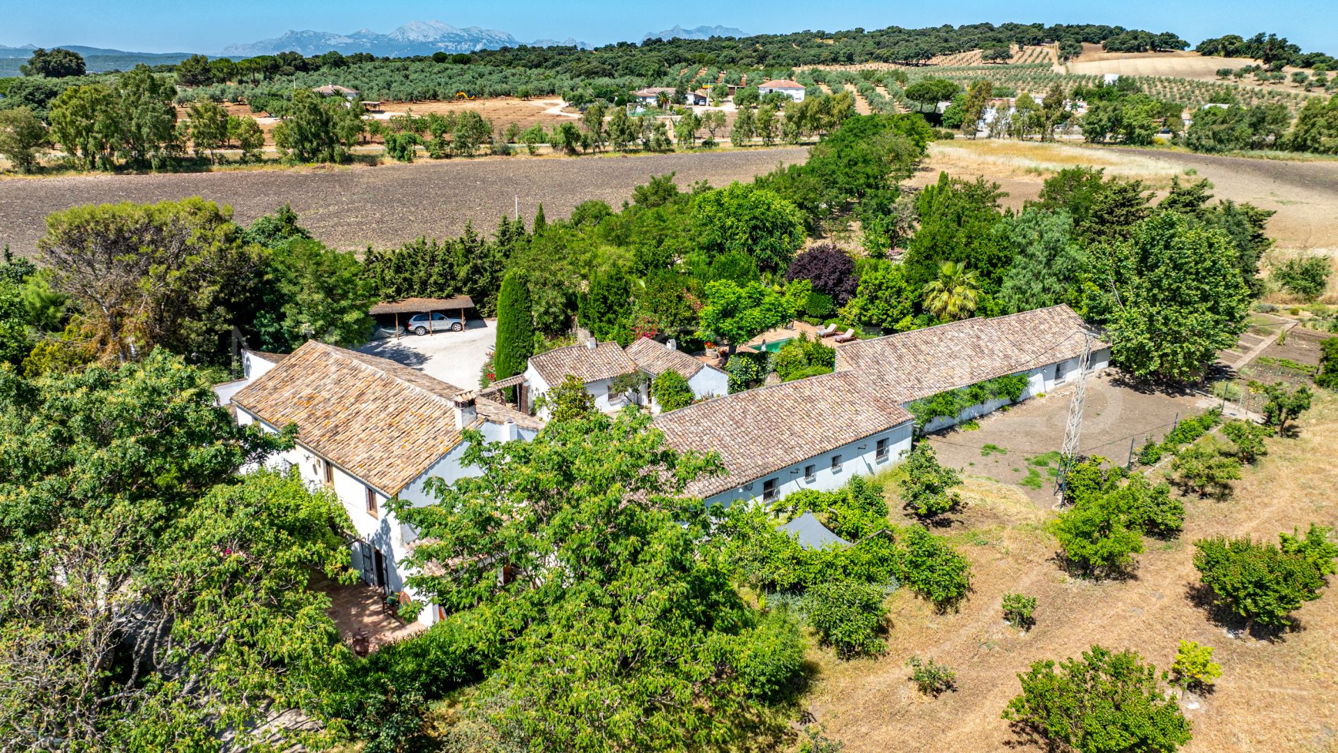 Ferme for sale in Ronda