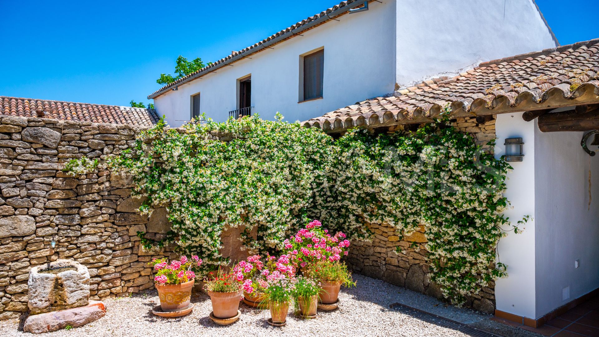 Ferme for sale in Ronda