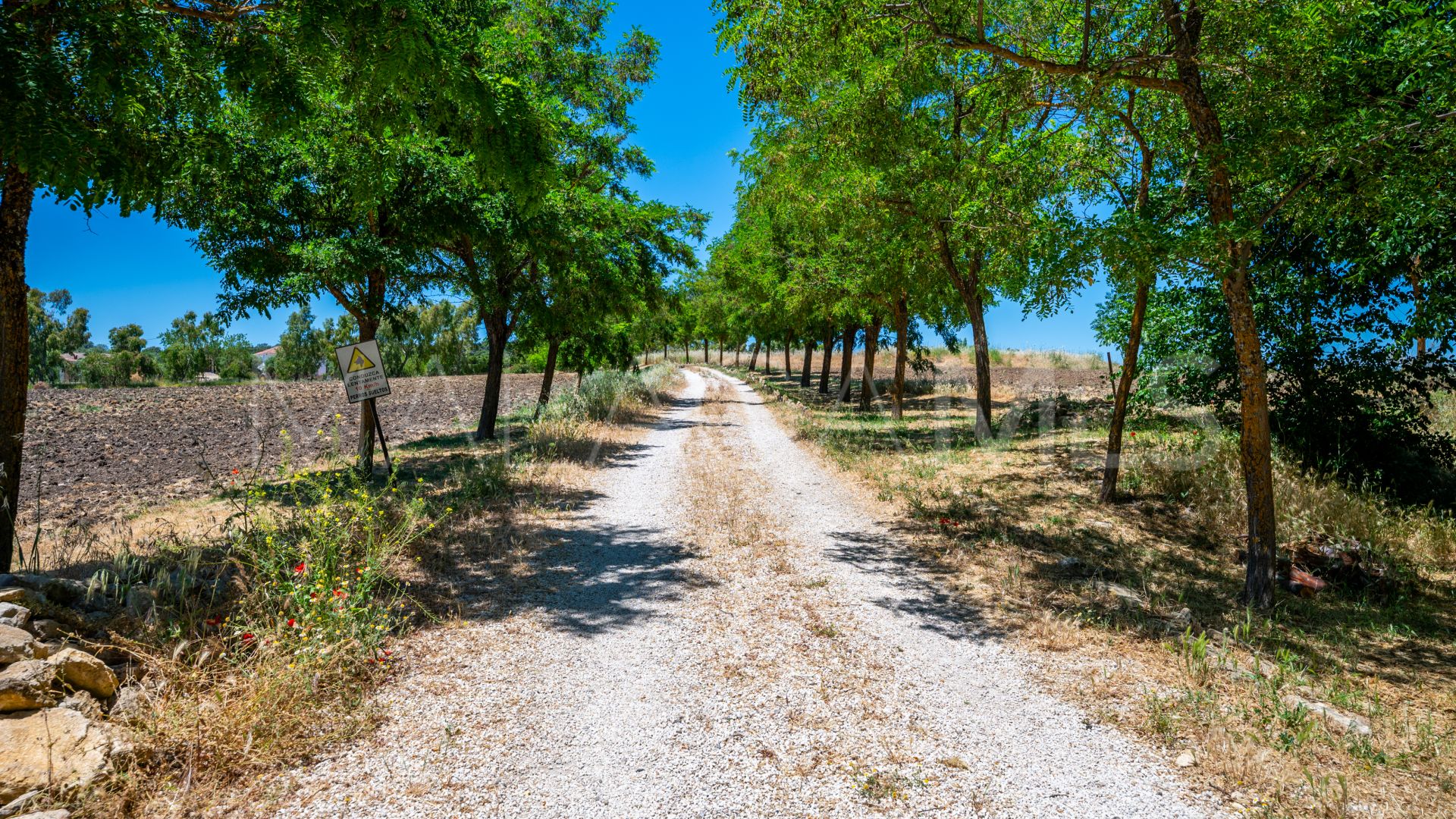 Ferme for sale in Ronda