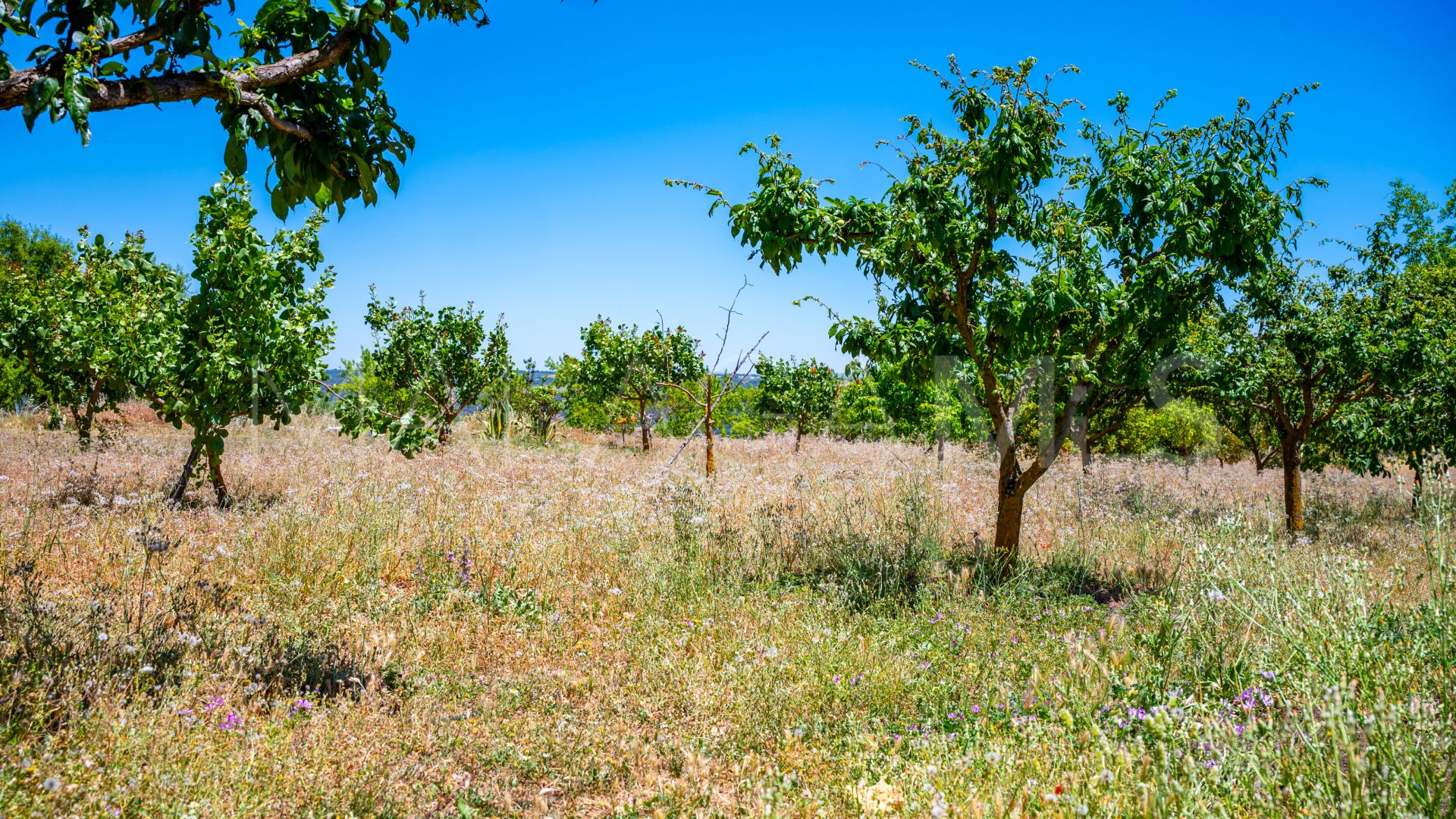 Ferme for sale in Ronda