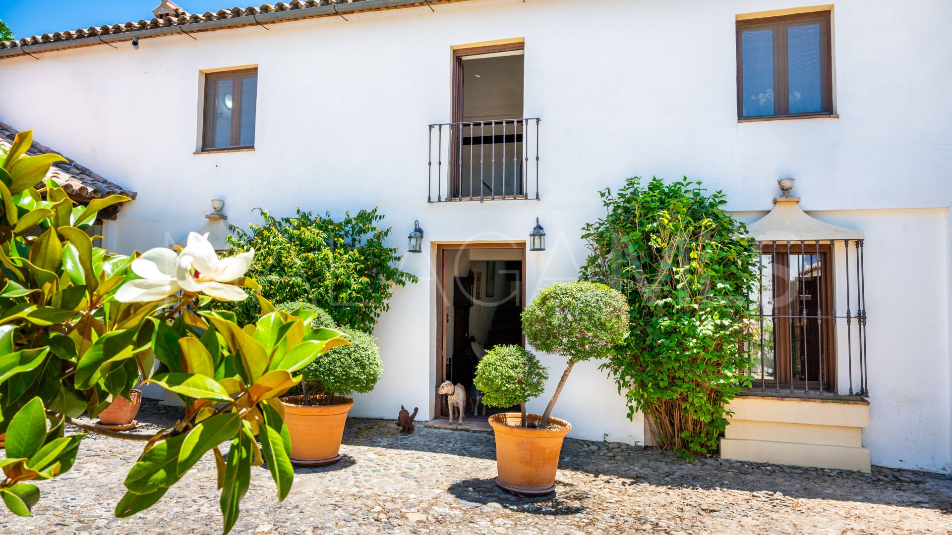 Ferme for sale in Ronda