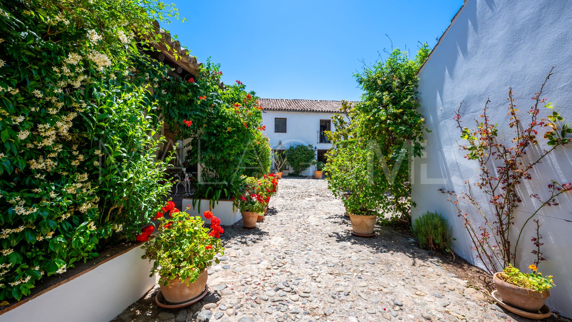 Ferme for sale in Ronda