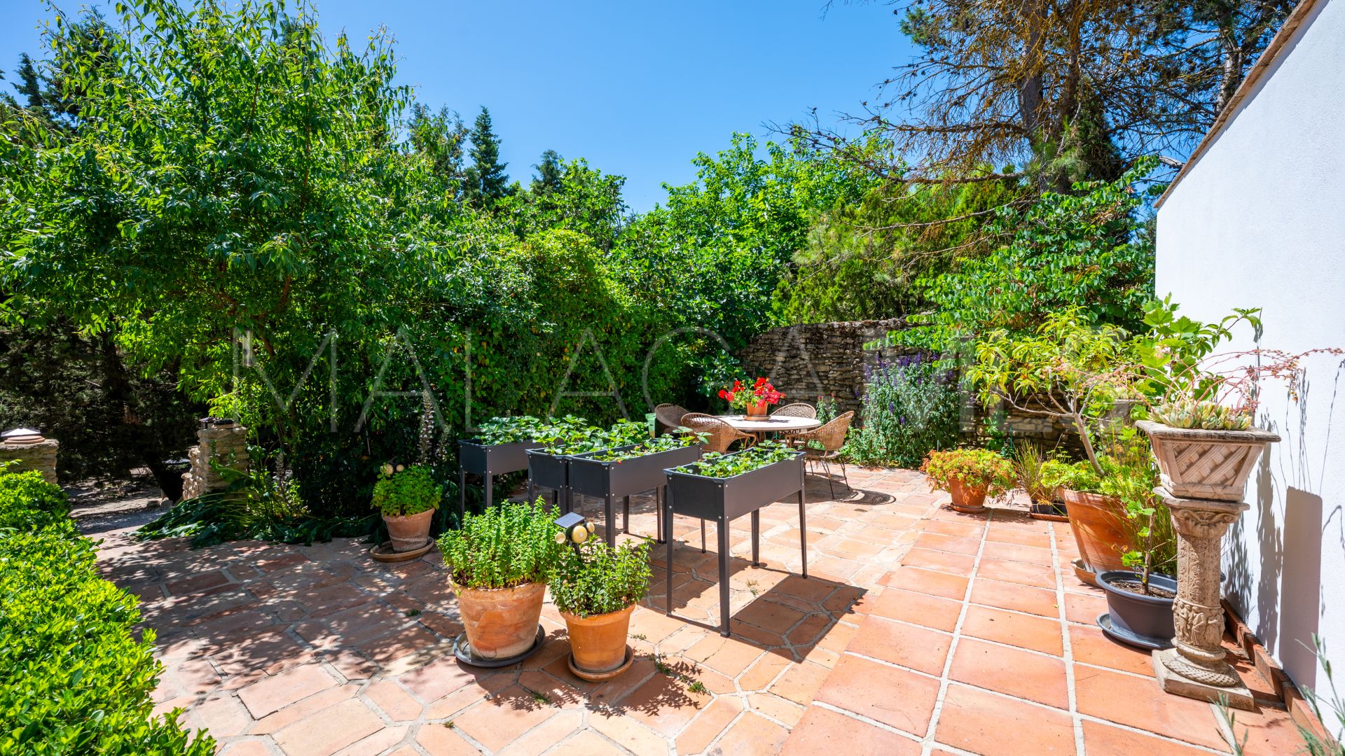 Ferme for sale in Ronda