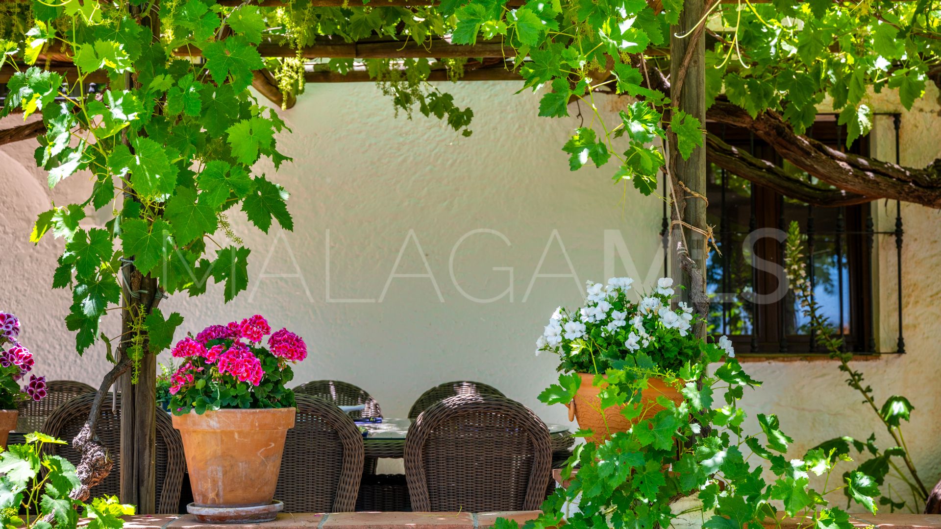 Ferme for sale in Ronda