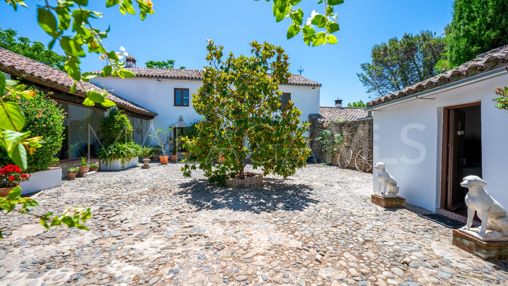 Ferme for sale in Ronda