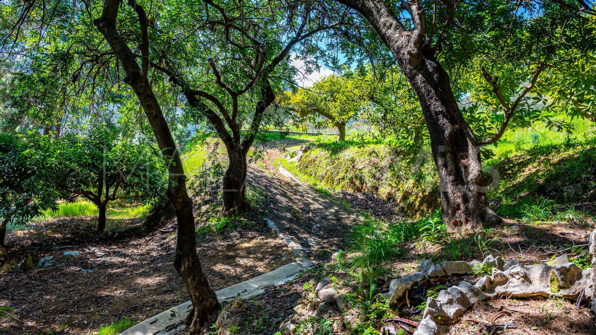 Casa de campo for sale in Alhaurin el Grande