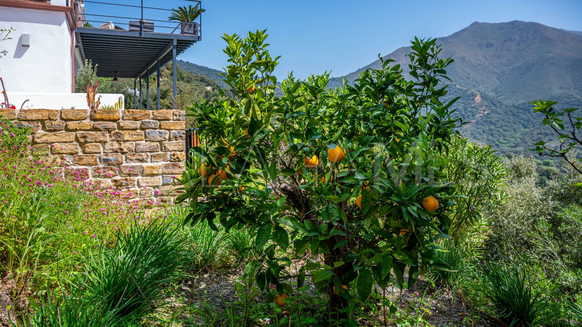 Hus på landet for sale in Casares