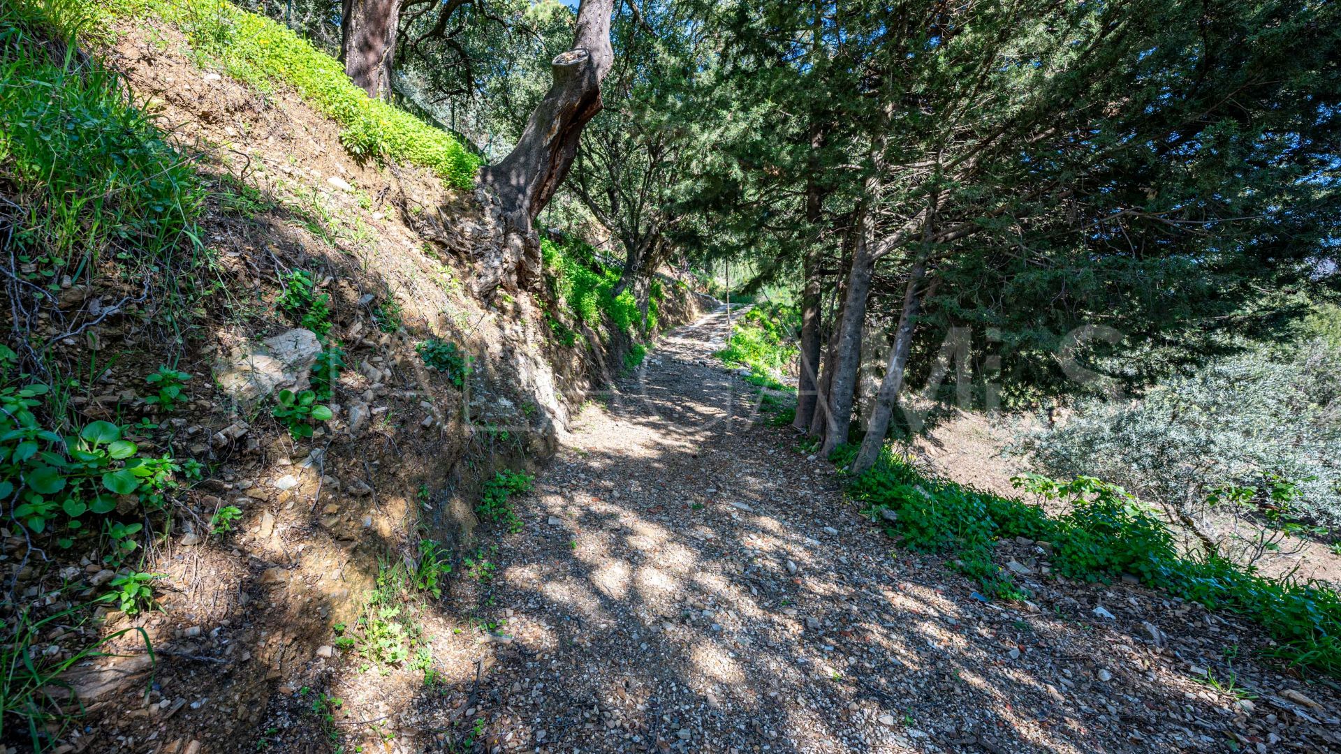 Casa de campo for sale in Casares