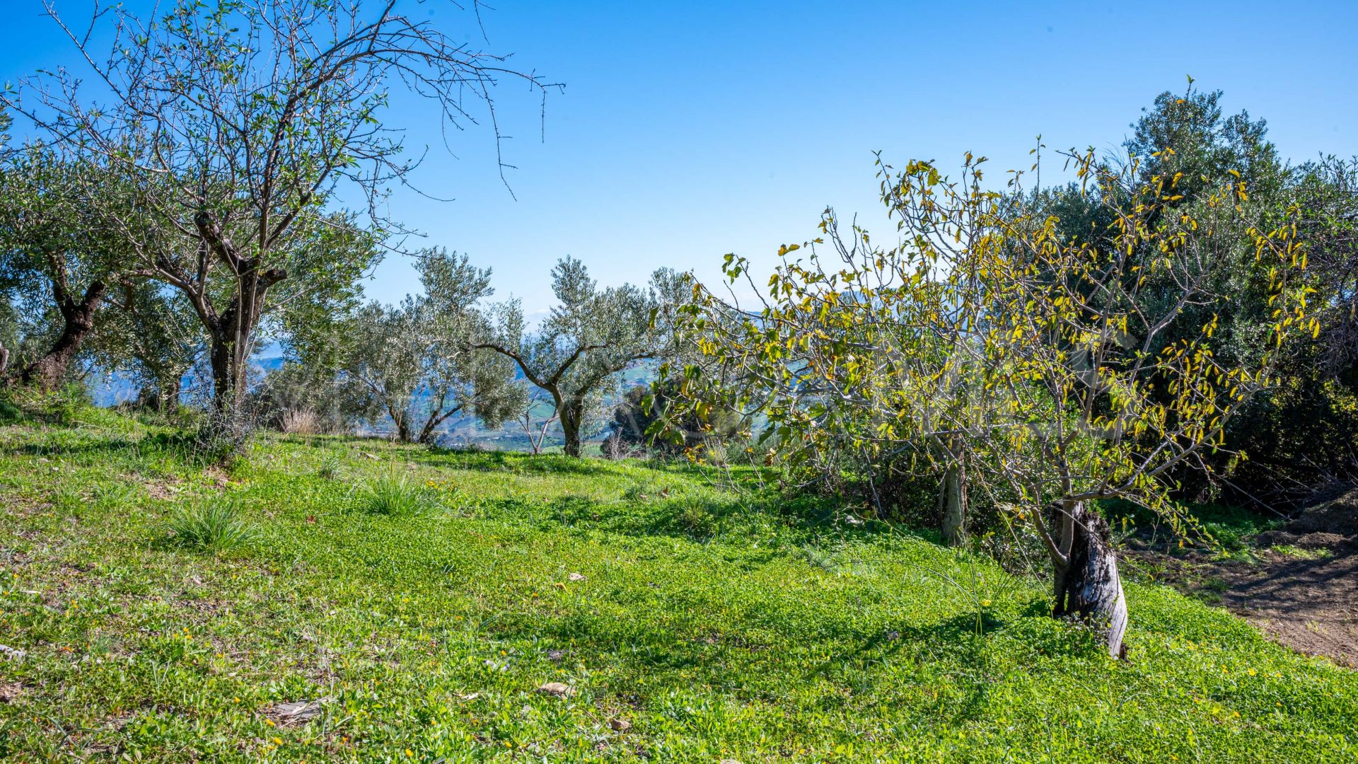 Hus på landet for sale in Casarabonela