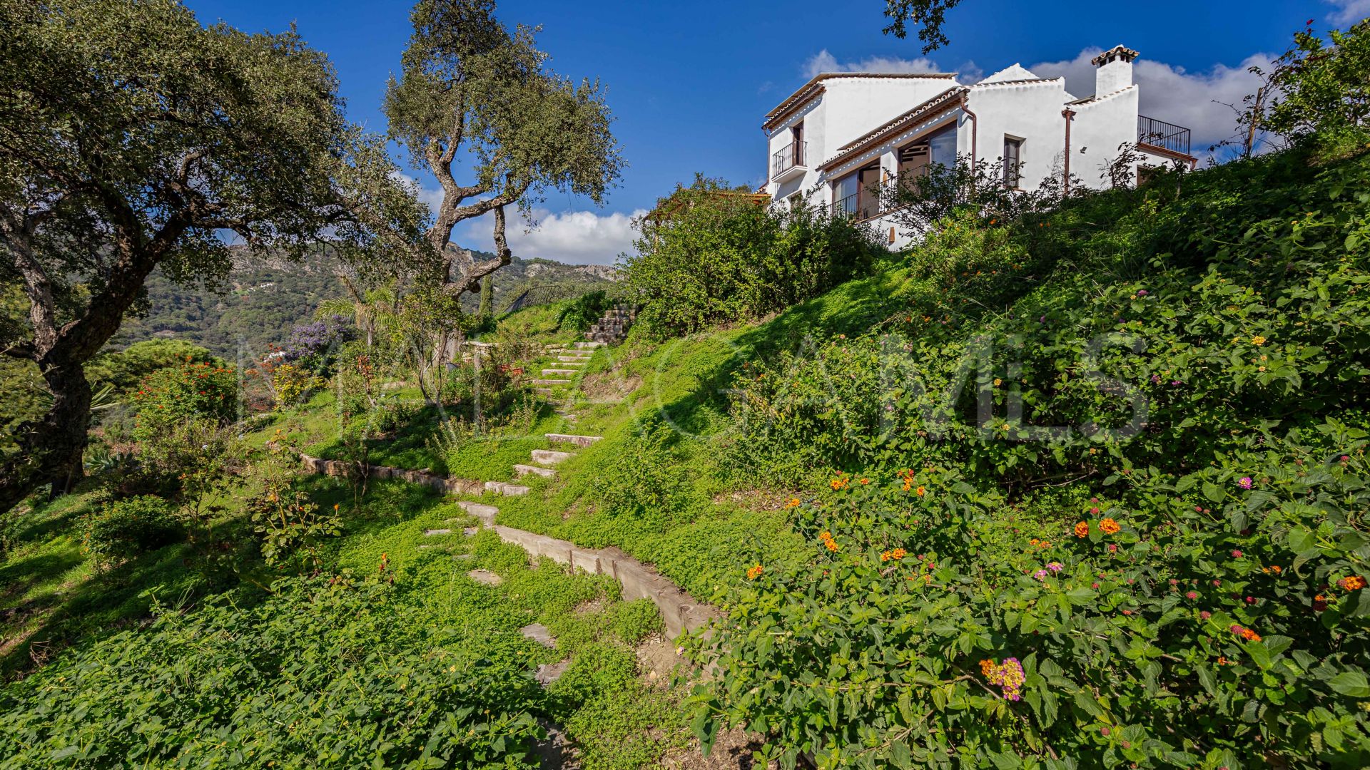 Maison de campagne for sale in Casares Montaña