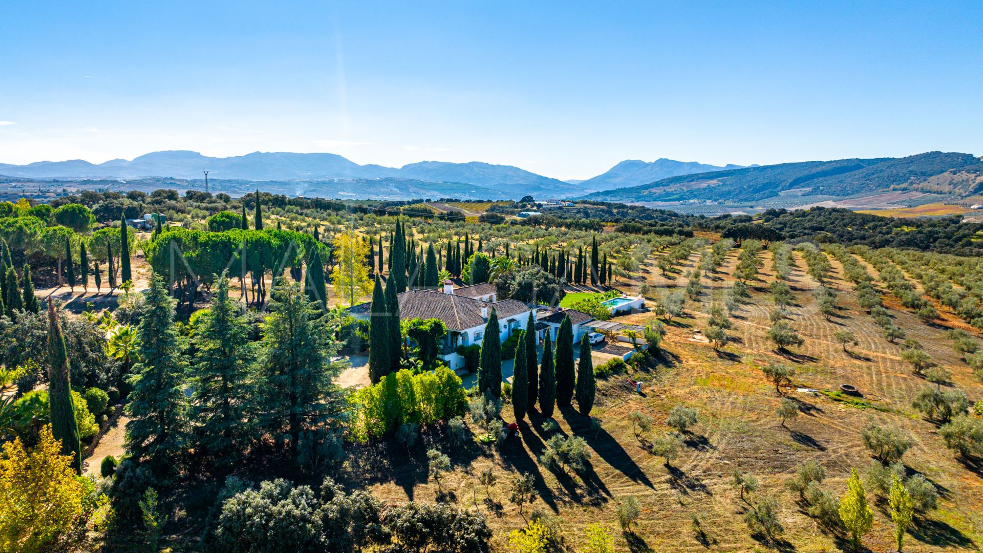 Cortijo for sale in Ronda with 8 bedrooms