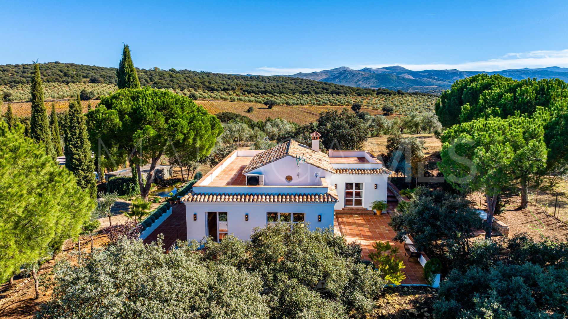 Cortijo for sale in Ronda