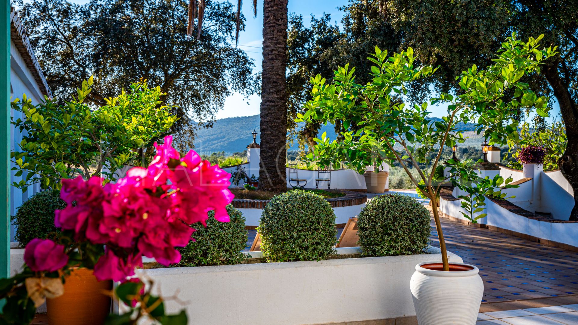 Cortijo for sale in Ronda