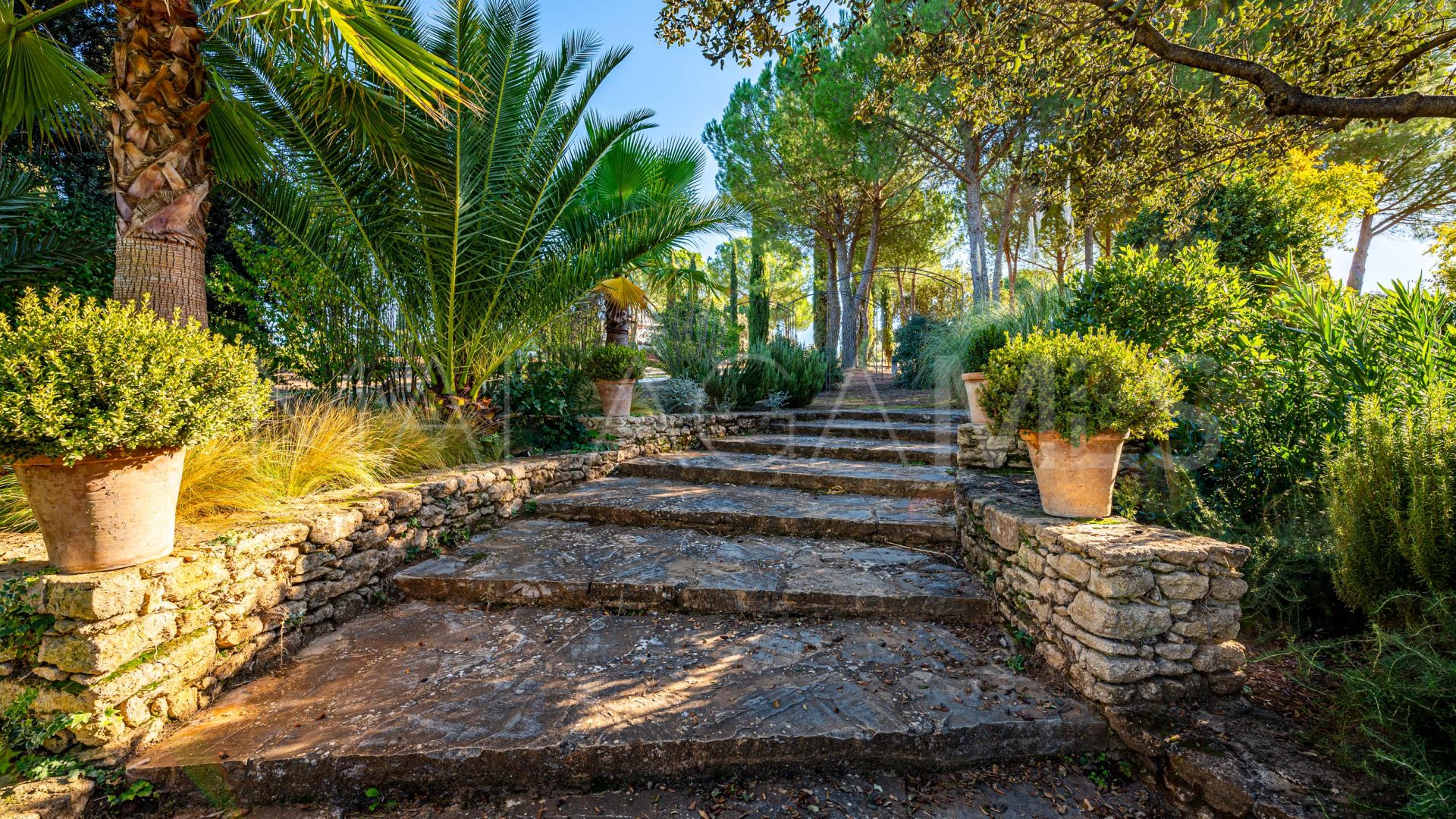 Cortijo for sale in Ronda with 8 bedrooms